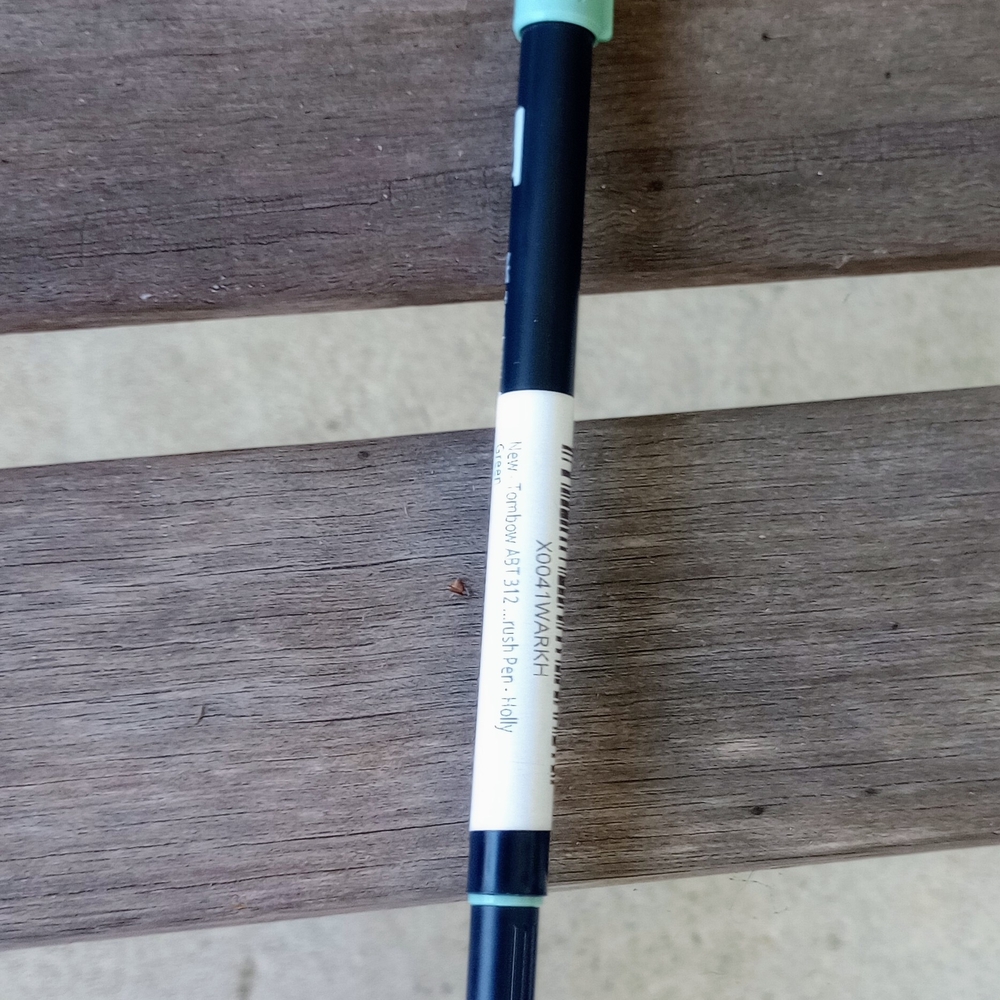 Tombow Dual Brush Pen in Blue and Green